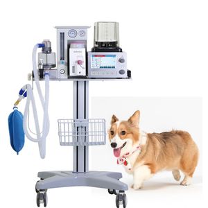Équipements vétérinaires médicaux d'anesthésie de vétérinaire de machine d'anesthésie de gaz pour l'animal de compagnie de chien de chat - Product Image 3