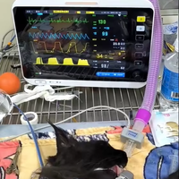 Moniteur portable de signes vitaux vétérinaires Rayman, oxymètre de pouls, saturation en O2 (SpO2), NIBP, TEMP, moniteur vétérinaire pour chats, chiens, chevaux, animaux de compagnie