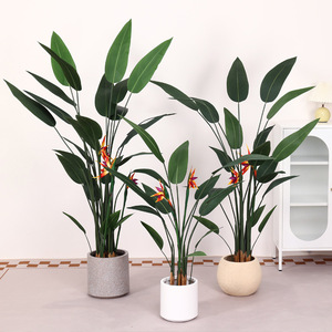 พืชจำลองไม้กระถางนก paradiseindoor พืชสีเขียวขนาดใหญ่สแกนดิเนเวียนนกโชคดี