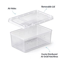 Boîte à reptiles ventilée en plastique PP 15x10x6,5 cm, empilable, pour araignées, tarantules, jeunes isopodes, vente en gros