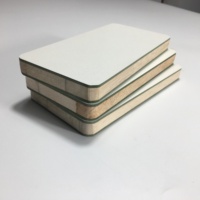 Panneau de bloc de mélamine de haute qualité en vente panneau de bloc de face de mélamine pour porte d'armoire de cuisine