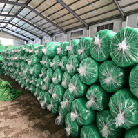 Groene rechthoekige HDPE warp gebreide op maat gemaakte GSM landbouw buiten tuin schaduwnet voor plantenafdekking