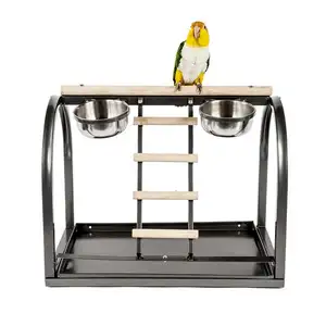 طائر الببغاء المكاو الكوكاو حيوان أليف الطاولة العلوية حامل اللعب طائر الببغاء