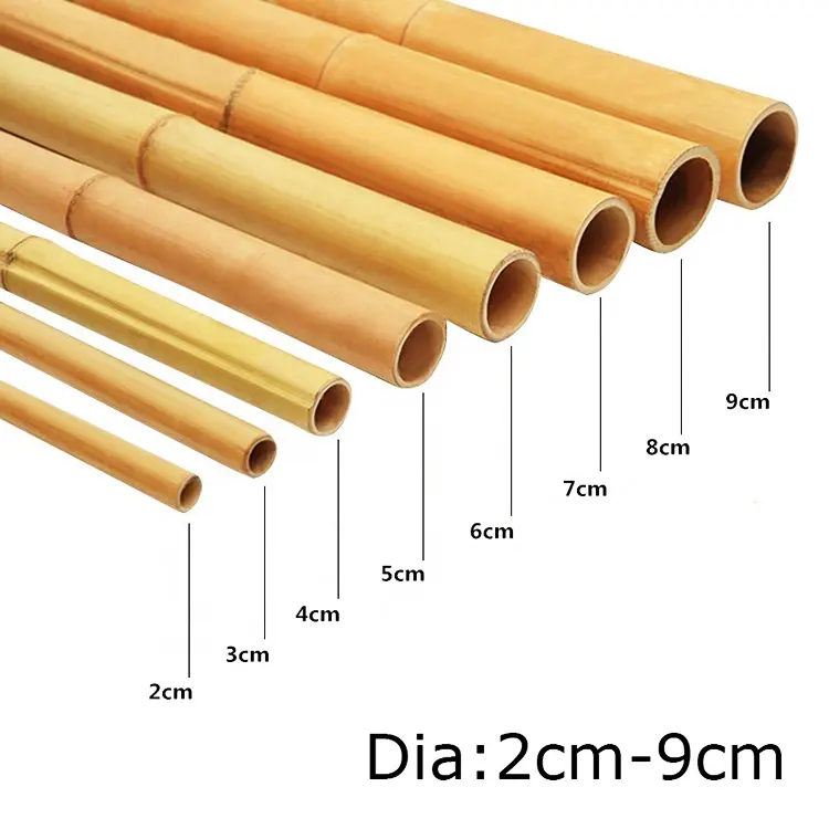 Postes de bambú natural, estacas rectas de árbol de bambú, postes de bambú grandes para decoración, longitud de 300cm