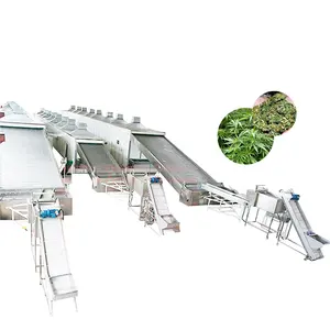 CBD Hemp Oil Flower Dried Hemp Leaves Production Line Dryer Machine