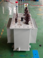 Transformateur de puissance industriel immergé dans l'huile à haute capacité Electric Rhino 30-1600 kVA avec 6/10/35 kV