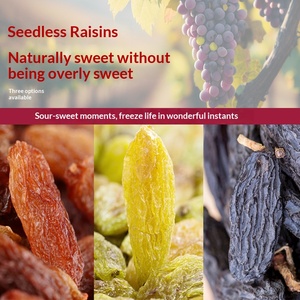 Nouveaux Raisins Verts 500g en Vrac, <span class=keywords><strong>Fruits</strong></span> Séchés Sucrés et Parfumés, Idéal pour les Femmes Enceintes - Product Image 2