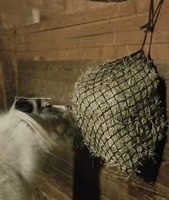 Filet à foin à alimentation lente, remorque et écurie, filets en plastique adaptés aux chevaux