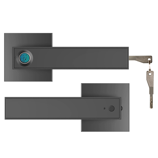 Security Fingerprint Door Lock  Keyless Entry Anti Theft Fingerprint Electronic Digital Tuya TTLock Smart Handle Door Lock