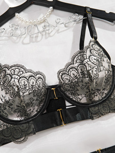 MZ3854L Lingerie de luxe sexy pour femmes, broderie de cils, jarretière transparente, lingerie érotique, ensembles pour femmes - Product Image 4