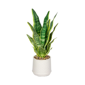 10 Perfect Gift Ideas for Every Personality and Budget
