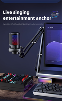 Nouveau microphone pour ordinateurs de jeu Cardioïde RGB USB avec kit de support de bras de bureau pour l'option d'enregistrement de podcasts