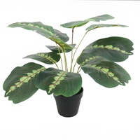 Vente en gros de bonsaïs artificiels Pothos de 40 cm de haut, faux petits bonsaïs Pothos