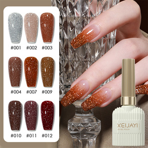 Ensemble populaire de vernis à ongles en gel 12 pièces, effet œil de chat, pailleté, professionnel, avec outils de peinture UV - Product Image 5