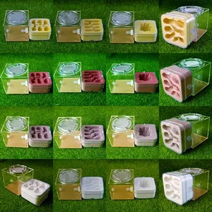 Acrylic Formicarium <strong>Ant</strong> <strong>Farm</strong>, Plaster <strong>Ant</strong> Nest with Outworld Arena, Transparent <strong>Ant</strong> Colony House for Insect Hobbyist Wholesale - Product Image 2