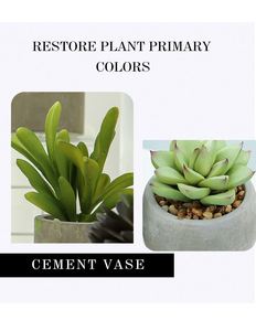 <span class=keywords><strong>Kit</strong></span> di Piante Succulente <span class=keywords><strong>Artificiali</strong></span> Assortite in PVC/PE, Effetto Realistico, per Giardino Verticale - Product Image 5