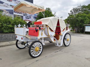 Produits en promotion : Chariot de chevaux électrique d'extérieur HengYiSheng pour 6 personnes avec toit, idéal pour mariages romantiques - Henan - Product Image 6