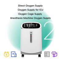 Concentrateur d'oxygène mobile pour animaux de compagnie BLUEWORTH V-Y501W, chien, chat, grand écran, boutons tactiles, génération d'oxygène 2 en 1, atomisation
