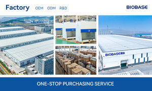 Agitador de Microplacas de Laboratorio BIOBASE con Velocidad Ajustable, Temporizador, Motor sin Escobillas y Bandeja Abierta <span class=keywords><strong>para</strong></span> Mezcla de ELISA y <span class=keywords><strong>PCR</strong></span> - Product Image 2