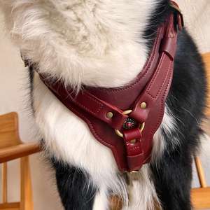 Harnais véritable rouge fait à la main chaîne en cuir de luxe Vintage chien en peau de vache naturelle marche pour les chiens de grande et moyenne taille - Product Image 2