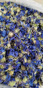 Shi che Ju 500g Premium crudo entero seco Bleuet capitule para té - Product Image 4