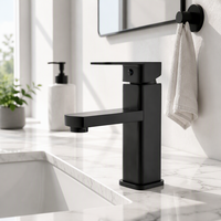 Mat Siyah Paslanmaz Çelik Kare Geometrik Tek Kollu Tek Delikli Seramik Kartuşlu Tezgah Üstü Modern Lavabo Muslukları