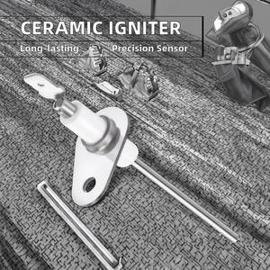 Sensor de Llama Digital de Cerámica de Alúmina Al2O3 OEM <span class=keywords><strong>RPD</strong></span> <span class=keywords><strong>RPD</strong></span>-NTC-001, Encendedor de Bujías, Sensor de Encendido para Hornos y Calderas de Gas - Product Image 2