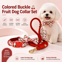 Ensemble collier et laisse pour chien motif cerise, gravure laser personnalisée, vente en gros d'usine, faible MOQ, accessoire pour chien