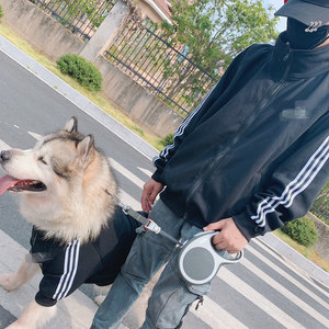 אופנה גדול גזע אדם בעל התאמת כלב מחמד מעגל מוצרים נים ספק חיות מחמד אבזרים - Product Image 1