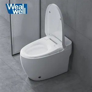 Wealwell Simple Function Version Intelligent Bidet For Engineering Heated Seat Smart Toilet