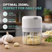 Procesador de Alimentos Inalámbrico de 5W con Carcasa de Plástico para Jengibre, Chile, Frutas, Carne, Especias, Frijoles - Nuevo Molinillo de Ajo de 250ML