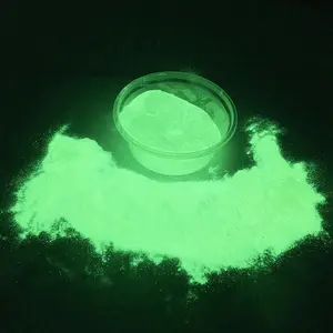 Luminous Glowing Pigment Powder 20 Colors Aluminate Pigment Glow In The Dark Pigment Powder For Paint Road Textile