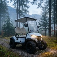 Voiturette de golf électrique 2 places en gros, batterie colloïdale 60V, pneus tout-terrain, moteur AC 4KW, 30-50Km/h, autonomie 90km, certifiée CE