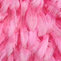 FW1026 8ftx8ft 3D Hot Pink Lotus Feather Flower Wall Backdrop Kain Buatan Gulung untuk Dekorasi Pernikahan Beraroma & Tahan Lama