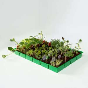 Calendrier de l'<span class=keywords><strong>Avent</strong></span> Thème Père Noël Compte à Rebours de Noël Cadeau de Jardinage Vente en Gros OEM Accepté - Product Image 2