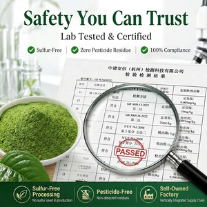 Polvo de Hoja de Morus <span class=keywords><strong>Alba</strong></span> a Granel de Marca Privada OEM, Polvo Herbal de Matcha Finamente Molido, Polvo de Hoja de Morera, Polvo de Té de Morera - Product Image 3