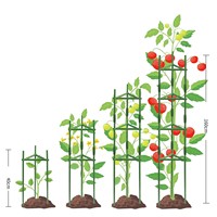 Pabrik stok halaman anggrek sayuran kebun memanjat tanaman dukungan bingkai tomat terong baja pipa pot bunga produsen