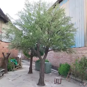 Pohon zaitun besar realistis kustom pohon zaitun besar untuk dekorasi dalam dan luar ruangan