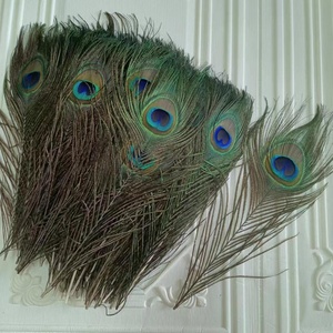 Vente en gros 25-140cm plumes <span class=keywords><strong>de</strong></span> <span class=keywords><strong>paon</strong></span> naturelles plumes <span class=keywords><strong>de</strong></span> queues <span class=keywords><strong>de</strong></span> <span class=keywords><strong>paon</strong></span> pour montage <span class=keywords><strong>de</strong></span> mouches, carnaval sac à dos Costume décorations pour la maison - Product Image 4