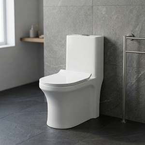 WC monobloc en céramique blanc nacré de fabrication indienne, standard européen, à chasse d'eau, à poser au sol - Product Image 1