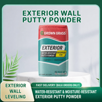 Enduit Flexible GROWN GRASS pour Murs Extérieurs, Résistant à l'Eau et aux Intempéries, Anti-Fissures, Application au Pinceau, Lisse pour Enduit de Finition pour Bâtiment