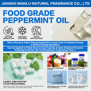 Free Sample Food Grade <strong>Peppermint</strong> <strong>Oil</strong> Organic for Capsules 100% Pure Natural Mint <strong>Essential</strong> <strong>Oil</strong> with Best Price Wholesale - Product Image 4