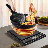 Plaque de cuisson électrique en céramique WINNING STAR ST-9784, plaque de cuisson à induction pour usage commercial