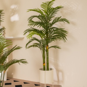 Vente chaude : Grands palmiers artificiels décoratifs d'<span class=keywords><strong>extérieur</strong></span> <span class=keywords><strong>en</strong></span> <span class=keywords><strong>pot</strong></span> - Product Image 5