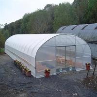 Serre Agricole Dédiée Monochapelle pour Tomates et Fraises en Film Plastique PE