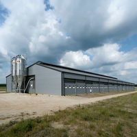 Poulailler économique moderne en structure acier, hangar préfabriqué pour bétail, élevage avicole à grande échelle, haute résistance, galvanisé à chaud