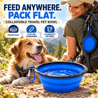 Bol pliable en silicone pour animaux de compagnie, pliable et portable, pour nourriture et eau, avec crochet pour les voyages en plein air et les promenades