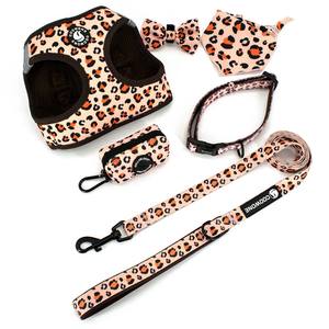 Correa y Collar Personalizados para Perro Arnés para Perro Bordado de Calabaza Bolsa para Paseo de Perro Bolsa de Entrenamiento Accesorios de Lujo para Bulldog Francés al Por Mayor - Product Image 2