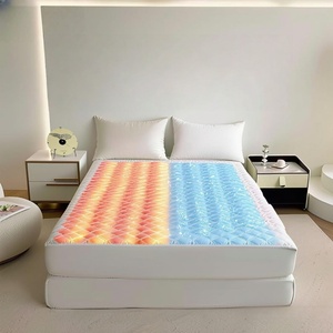 OEM Dual Zones Control Cooling and Heating Smart Mattress Cover Warm and Safe Pod <b>Bed</b> <b>Pad</b> for Winter and Summer Mattress Topper - Product Image 2