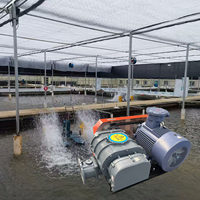 Souffleur à lobes électrique AC OEM 5HP 10HP 15HP à déplacement positif pour l'aération des étangs d'aquaculture (poissons et crevettes)